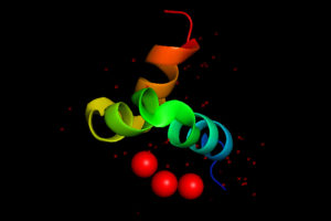 RUP_and Topic 1_RTP_LEBMB_