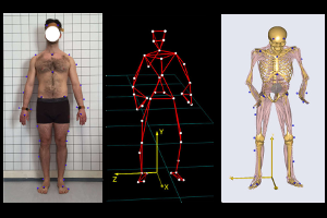 musculoskeletal_darkbg