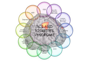 Topic 2_RTP_and_descrip_fMRI_900x559