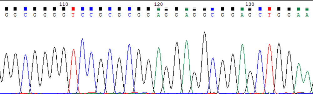 Topic 5_Laboratory of biotechnological applications_1000x300 copy