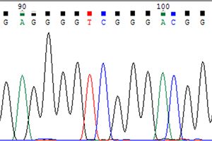 Topic 5_RTP_Laboratory of biotechnological applications_300x200