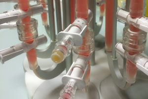 Peretti Research Topic 3_thumbnail image